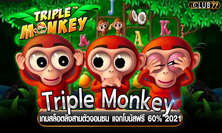 Triple Monkey เกมสล็อตลิงสามตัวจอมซน แจกโบนัสฟรี 60% 2023
